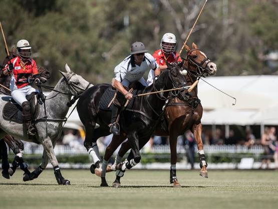 Nobility for Ability